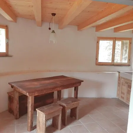 Faggio Rotondo - Natura Autentica Groppizioso