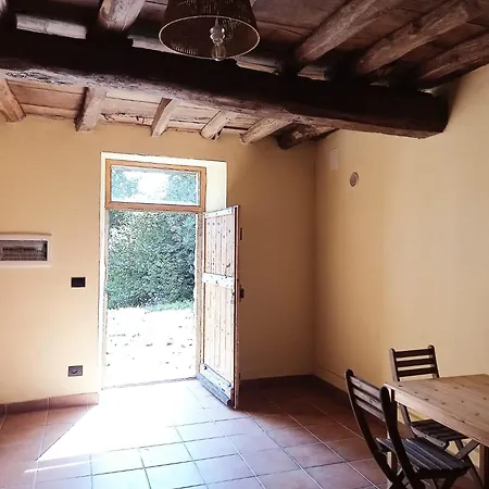 Faggio Rotondo - Natura Autentica Groppizioso