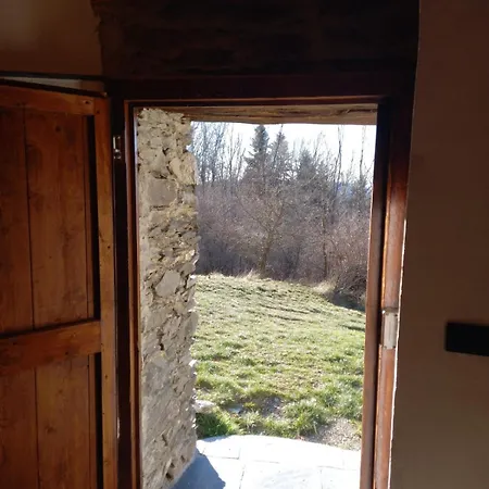 Faggio Rotondo - Natura Autentica